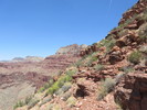 photo thumbnail #13
