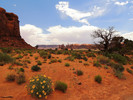 photo thumbnail #11
