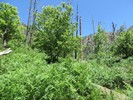 photo thumbnail #12