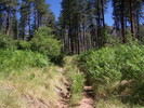 photo thumbnail #1