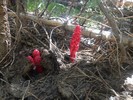 photo thumbnail #14