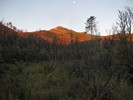 photo thumbnail #2