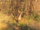 photo thumbnail #3