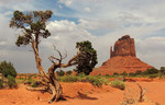 photo thumbnail #11