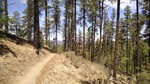 photo thumbnail #6