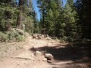 photo thumbnail #1