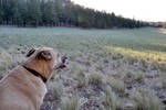 photo thumbnail #3