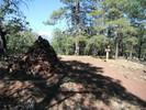 photo thumbnail #1