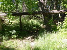 photo thumbnail #11