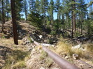 photo thumbnail #12