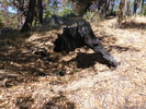 photo thumbnail #14