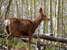photo thumbnail #4