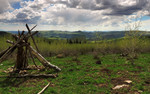 photo thumbnail #6