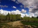photo thumbnail #7