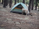 photo thumbnail #5