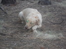 photo thumbnail #7