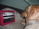 photo thumbnail #9