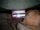 photo thumbnail #10