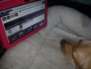 photo thumbnail #11