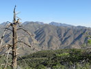 photo thumbnail #3