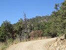 photo thumbnail #5