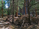 photo thumbnail #10