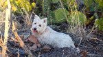 photo thumbnail #5