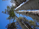 photo thumbnail #13