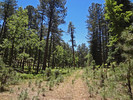 photo thumbnail #14