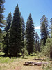 photo thumbnail #15