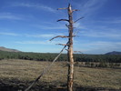 photo thumbnail #11