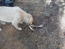 photo thumbnail #8