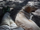 photo thumbnail #9