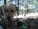 photo thumbnail #3