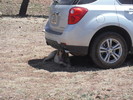 photo thumbnail #9