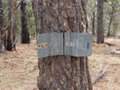 photo thumbnail #13
