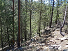 photo thumbnail #9