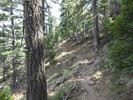 photo thumbnail #4
