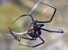 photo thumbnail #9