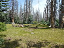 photo thumbnail #7