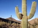 photo thumbnail #4