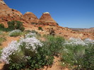 photo thumbnail #4