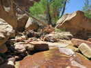 photo thumbnail #2