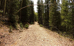 photo thumbnail #8