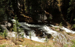 photo thumbnail #10