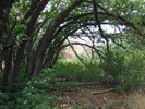 photo thumbnail #9