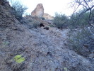 photo thumbnail #3