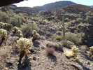 photo thumbnail #5