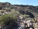 photo thumbnail #13