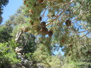 photo thumbnail #8